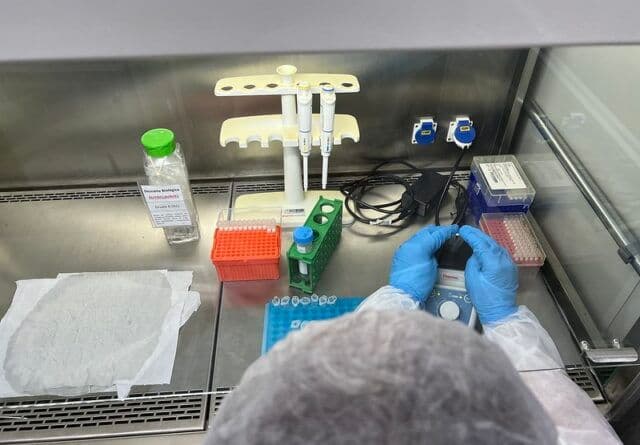 Estudo revolucionário conduzido por cientistas brasileiras pode trazer inovações na prevenção à malária