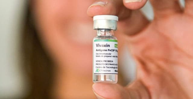 CTVacinas recebe sinal verde da Anvisa para testar vacina contra malária em humanos