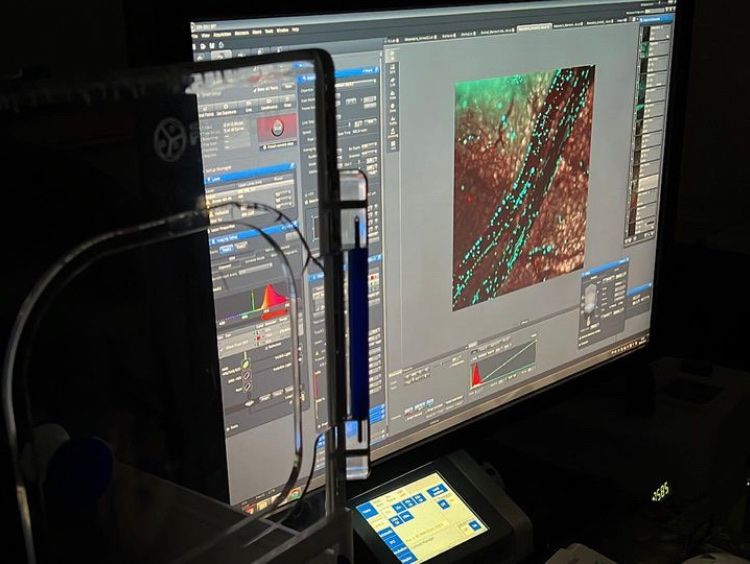 MicrosoftTeams-image (12).png