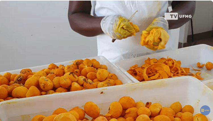 Pontinha de Sabor, em Paraopeba (MG), fortalece o empreendedorismo feminino e a conexão entre territórios tradicionais e universidade