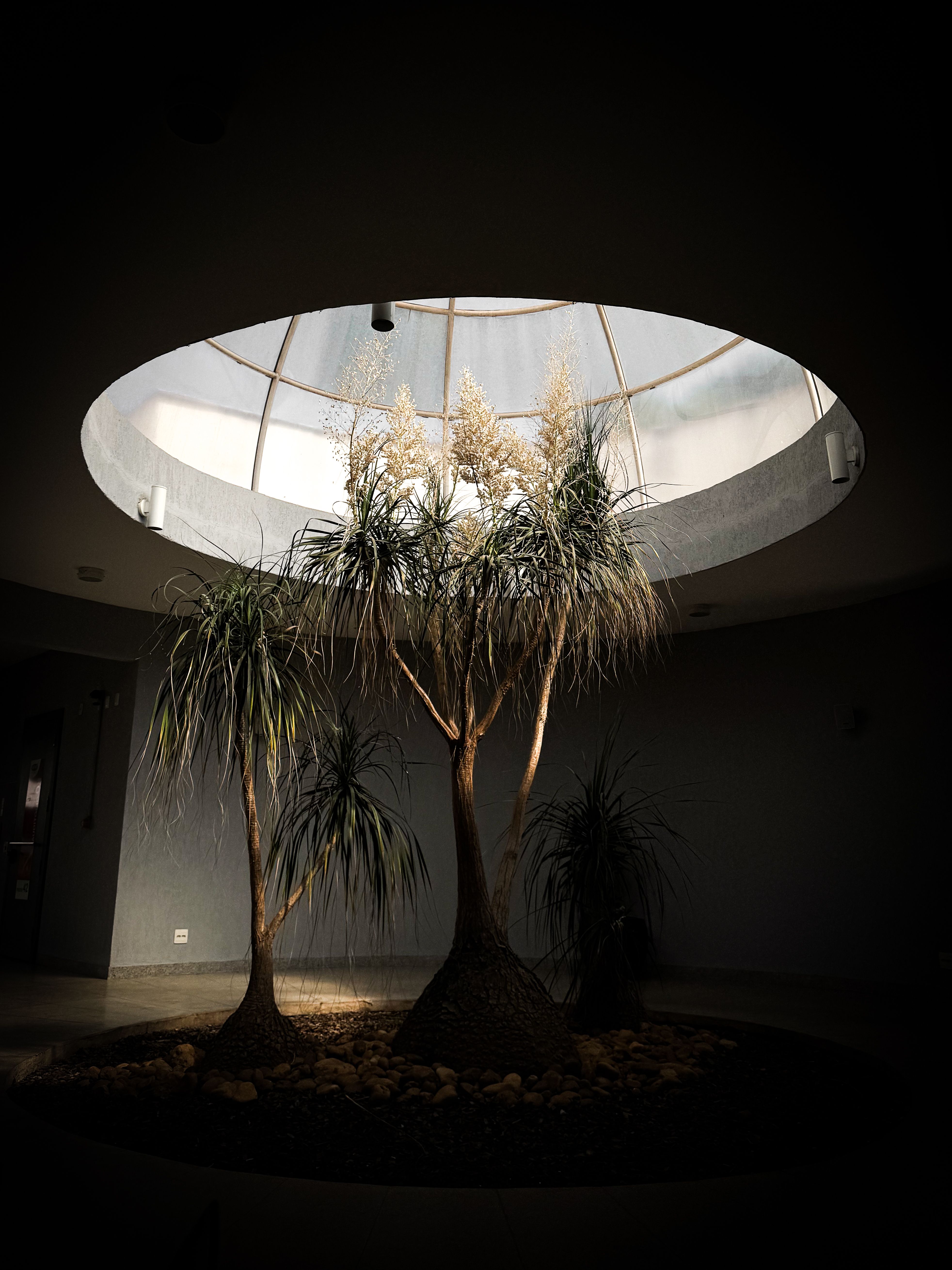 3º Lugar - Holofote - Deivid Carlos de Oliveira (2).jpg